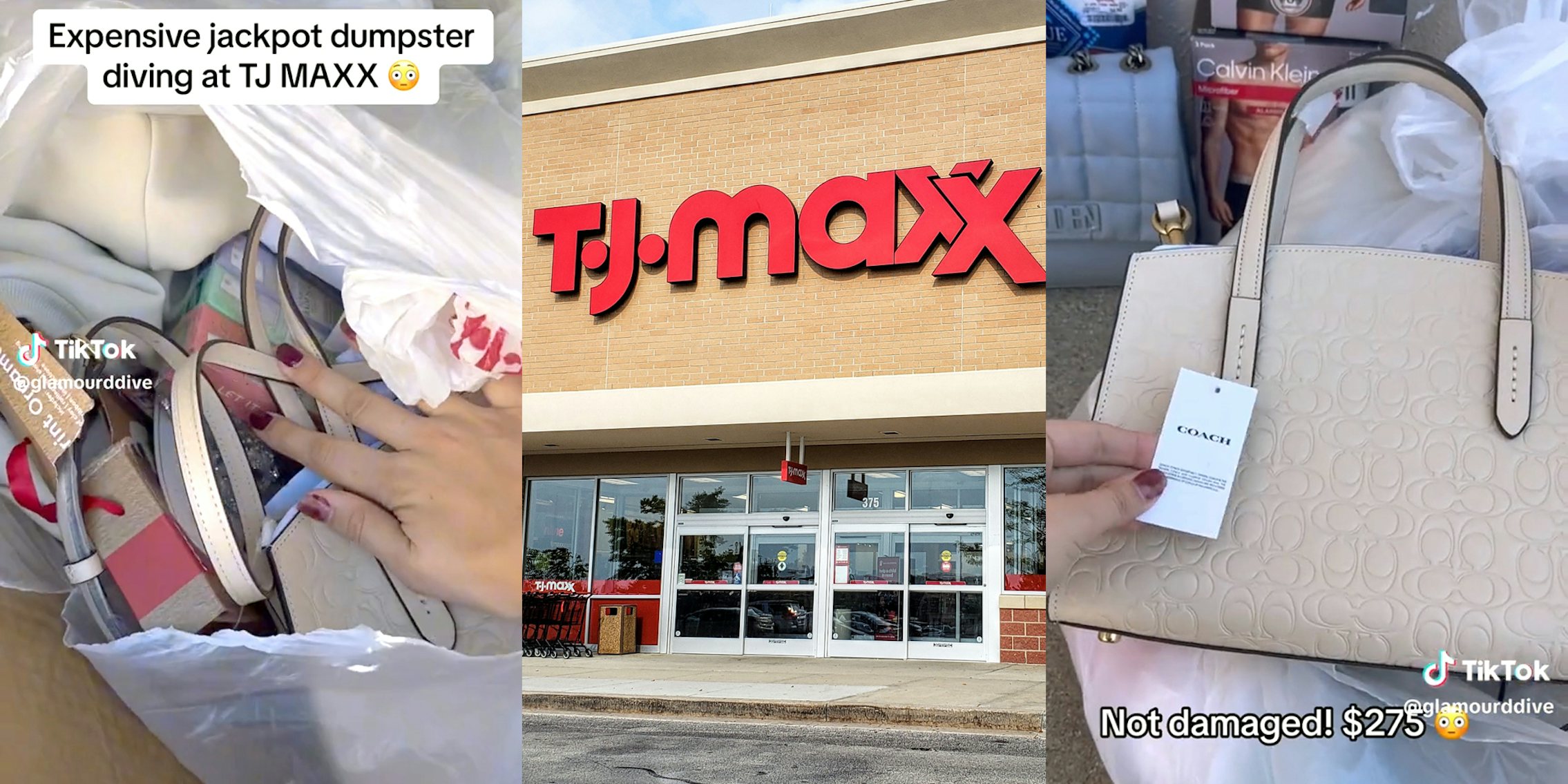 TJ Maxx Shopping Vlog to look for the viral Steve Madden bag