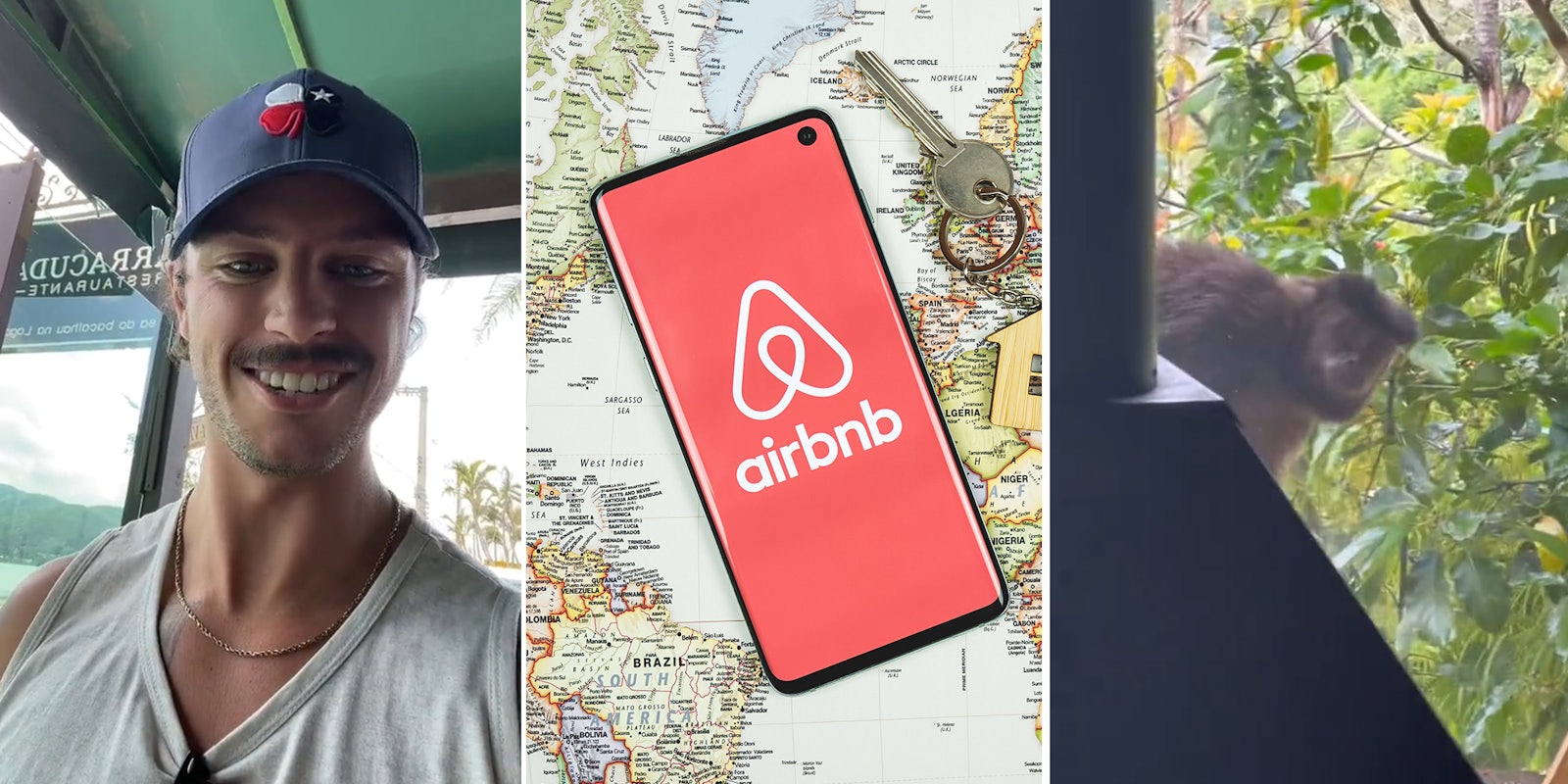 Airbnb guest says monkeys broke into his rental because he left bananas out