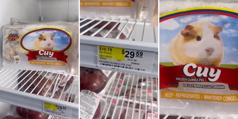 Grocery story customer finds frozen Guinea pig on sale in frozen aisle.