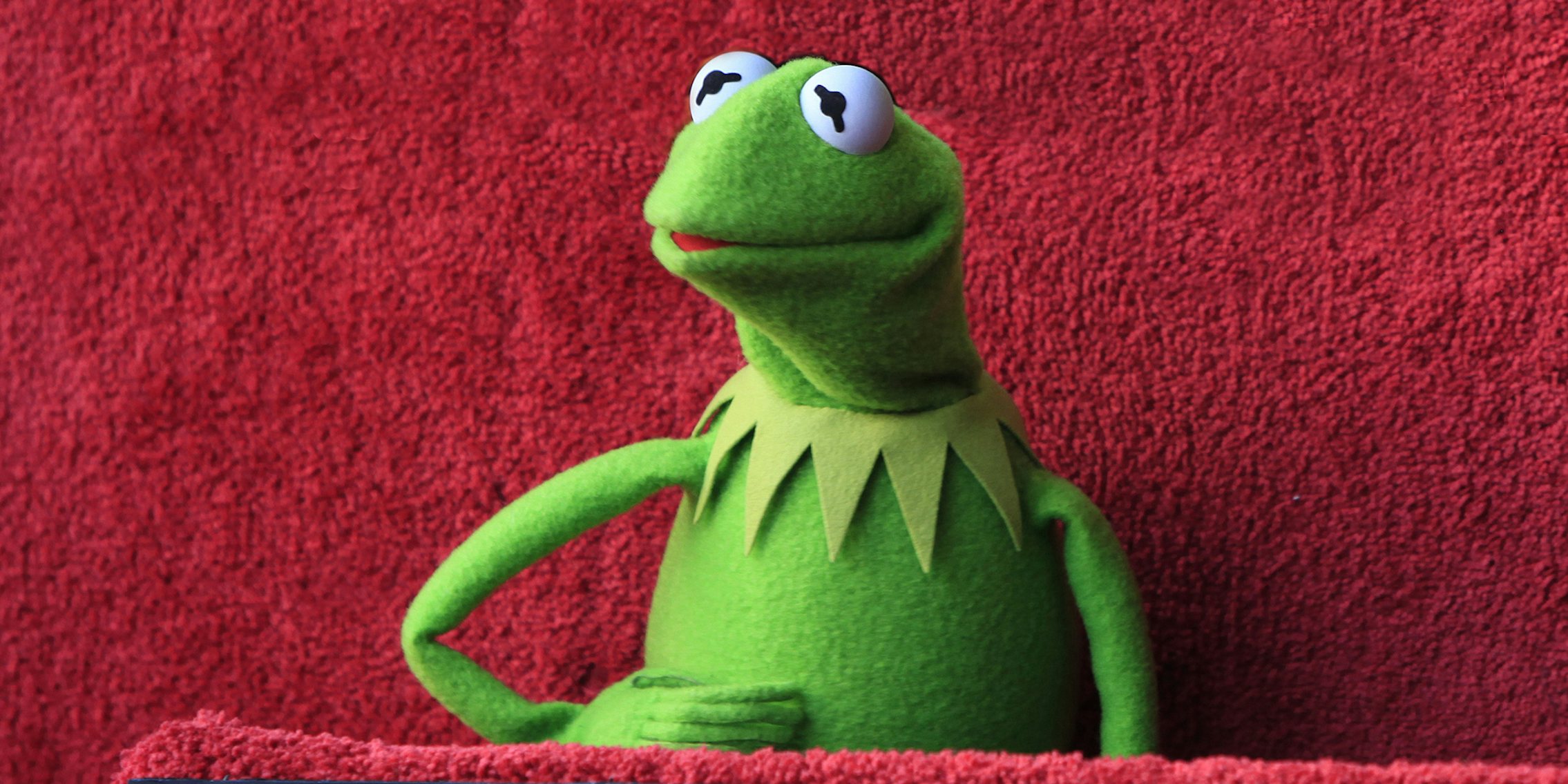 How Kermit the Frog Became a Sassy Meme