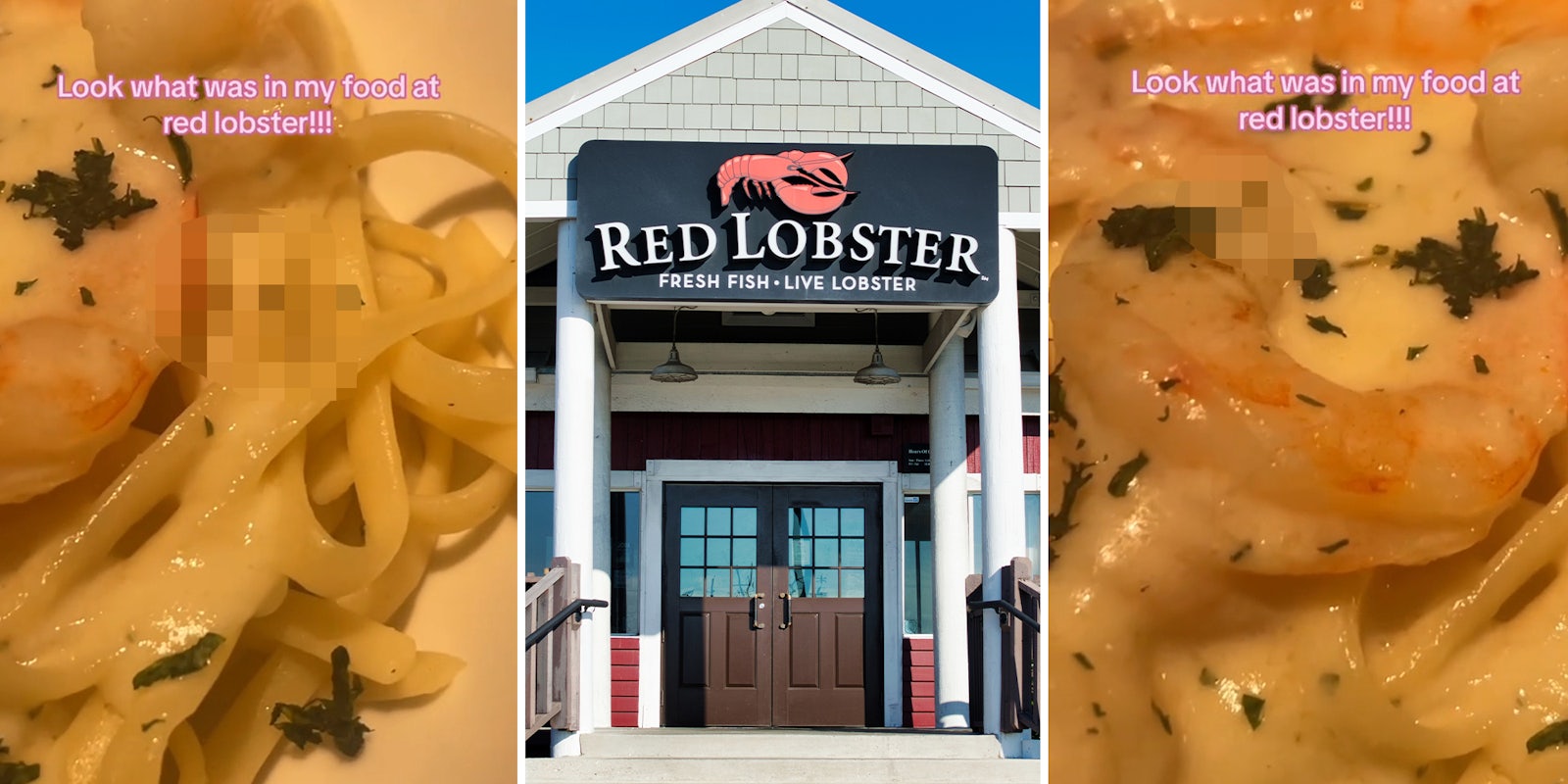 Red Lobster customer says she found something unusual in her food when she went for Endless Shrimp deal