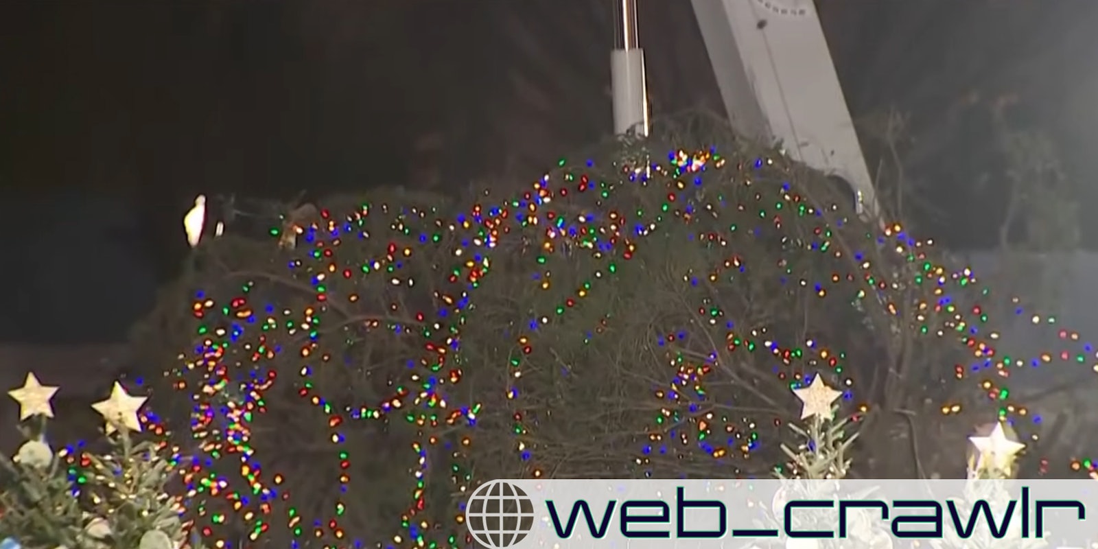 White House Christmas tree topples over