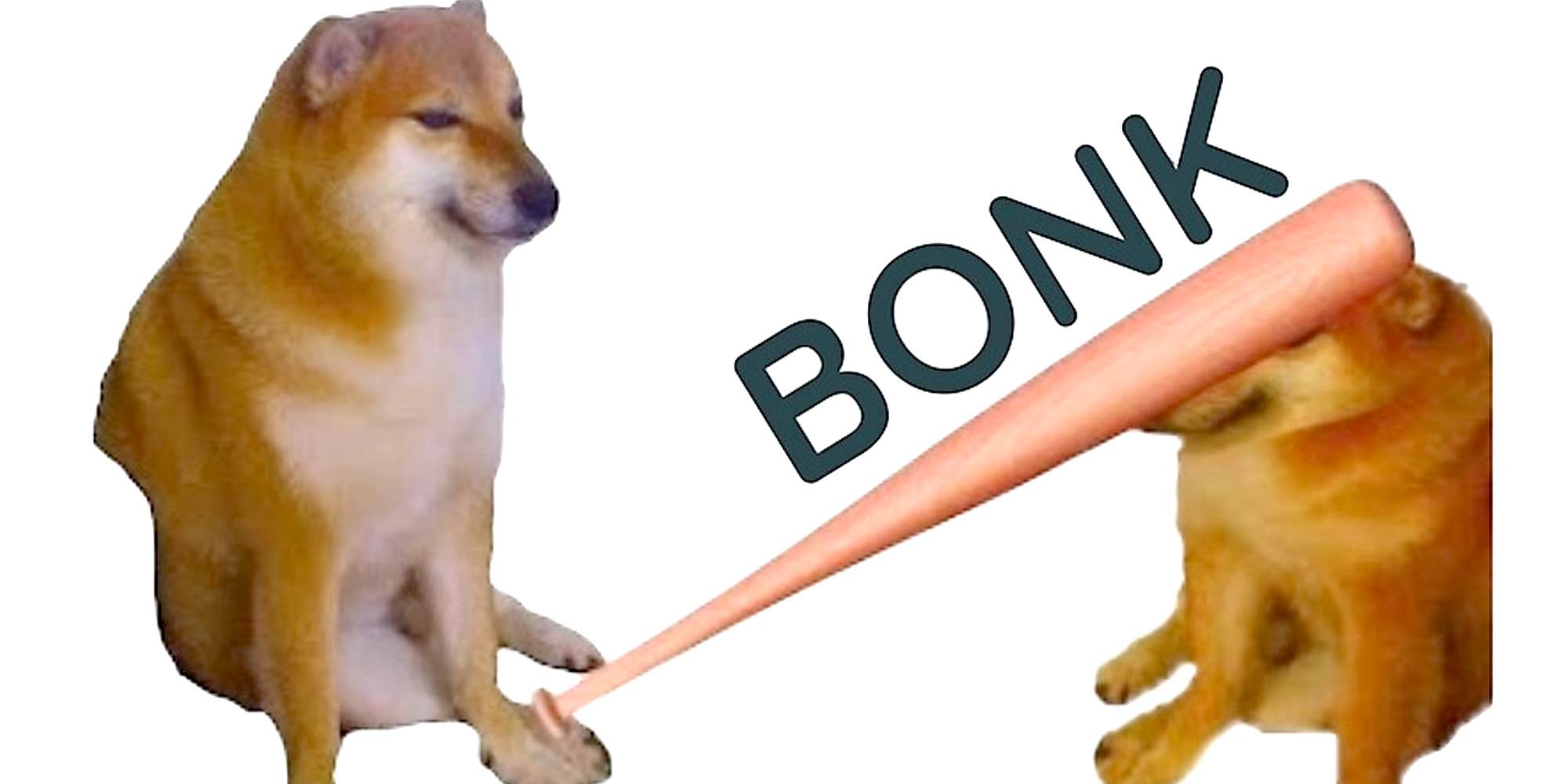 Bonk meme coin with dog character