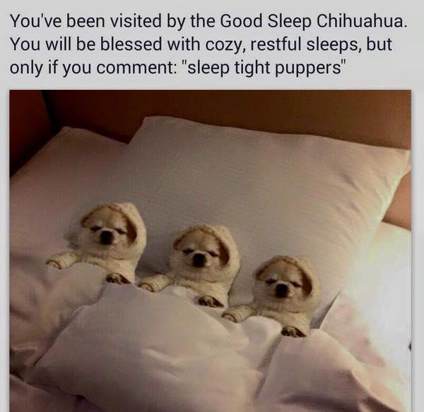 Sleep Memes: Here Are Some of the Best Sleeping Memes Online