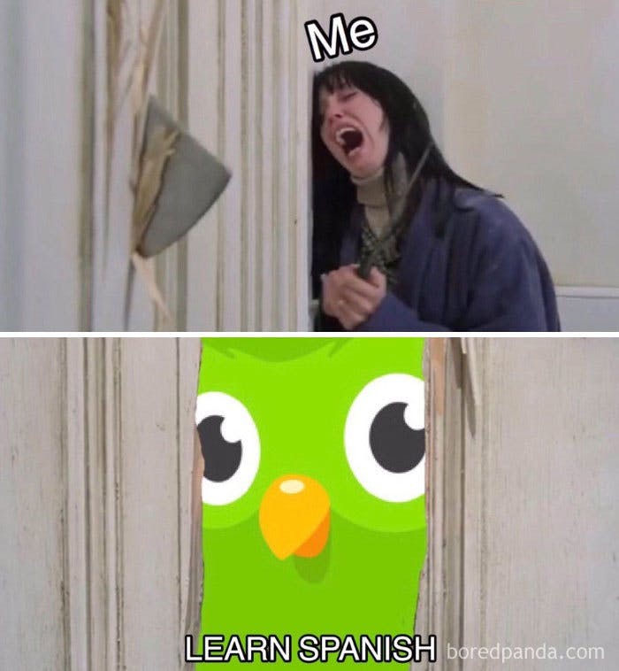 Duolingo owl memes