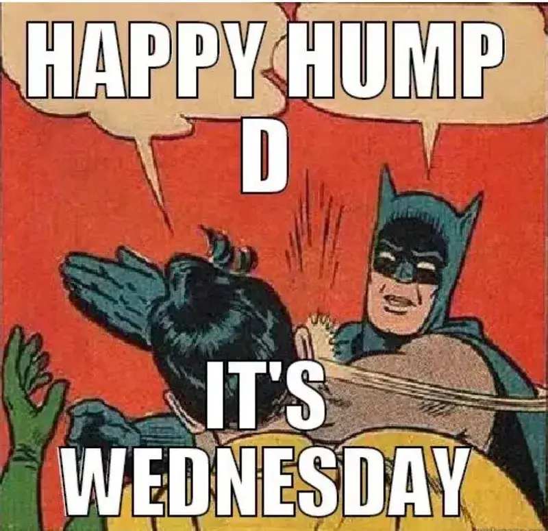 Hump Day Memes To Brighten Your Wednesday 1791