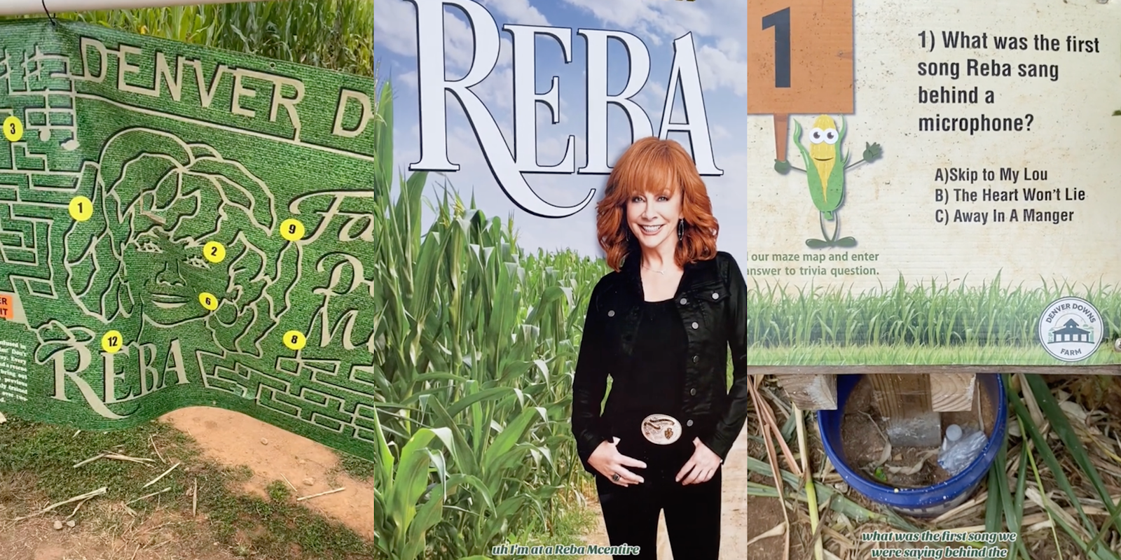 Reba McEntire-themed corn maze