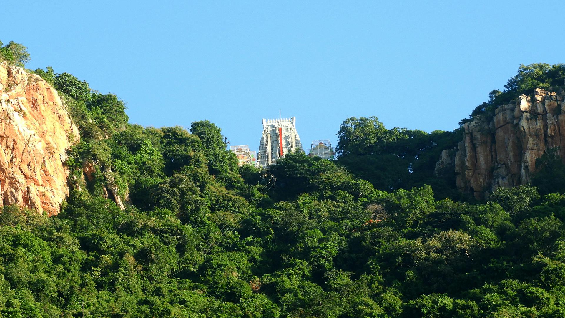 Devotees visit to Tirupati Balaji temple, visited place of Hindu pilgrimage and world's second richest temple. Located at india, Andhra Pradesh, Tirupati, Tirumala Devasthanam.