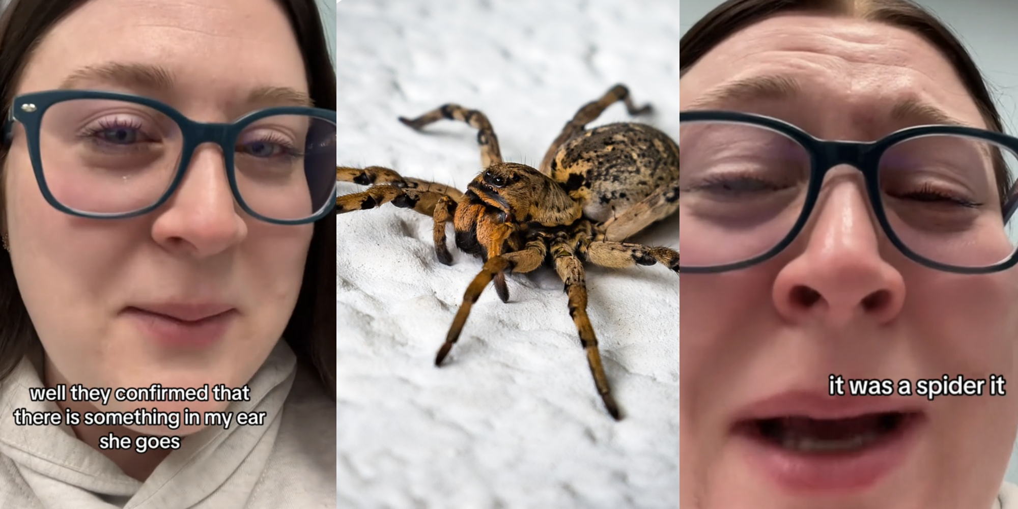 Woman Finds Out She Had A Live Spider In Her Ear   Spiderinear 