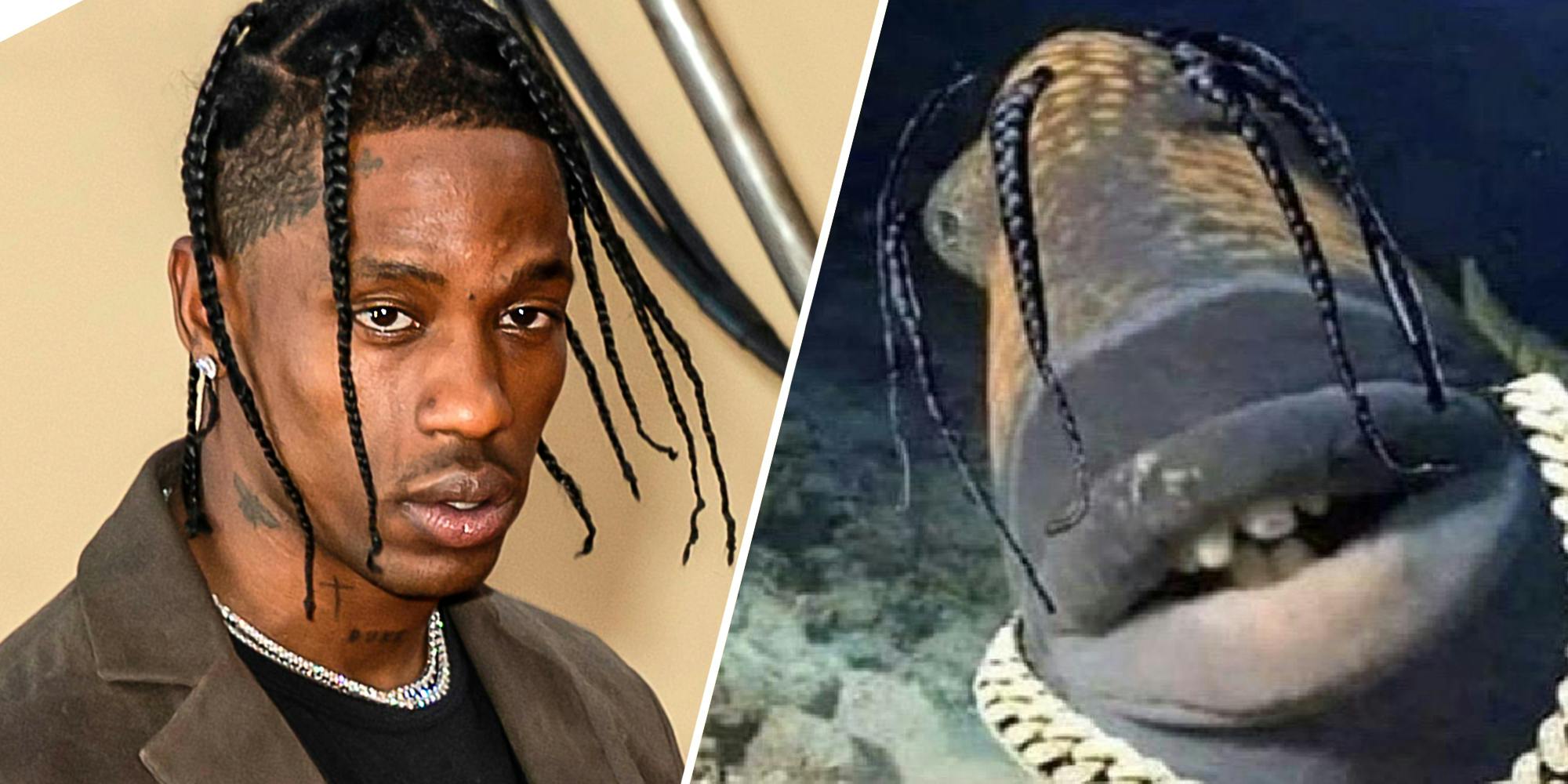 What is the Travis Scott fish? #TravisScott