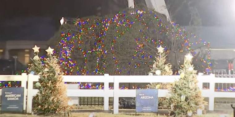 White House Christmas tree falls over