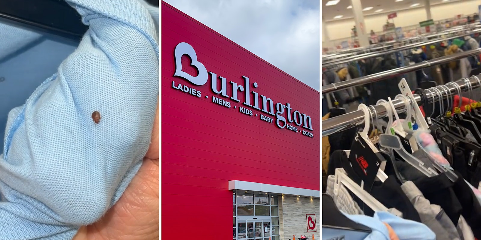 Burlington customer records bedbugs crawling on clothes