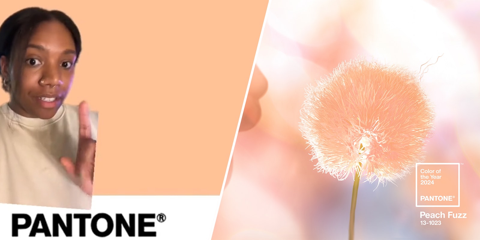 Pantone receives backlash for caucasian-looking color of the year