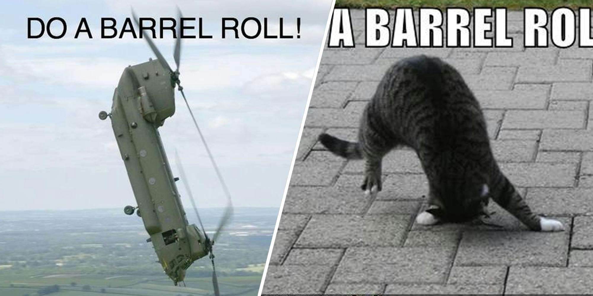 Two do the barrel roll memes