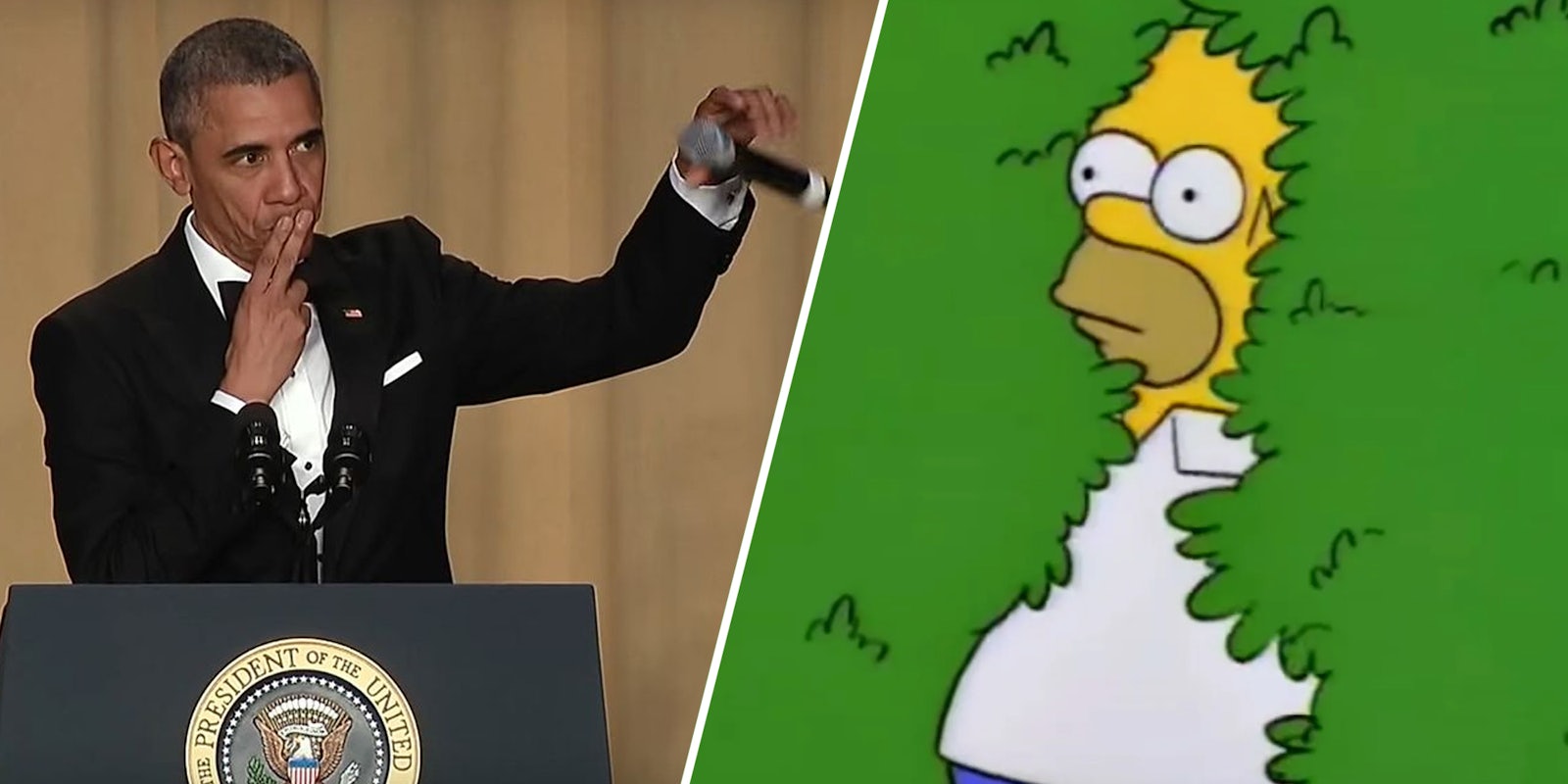 Barack Obama mic drop(l), Homer Simpson backing into the bushes(r)