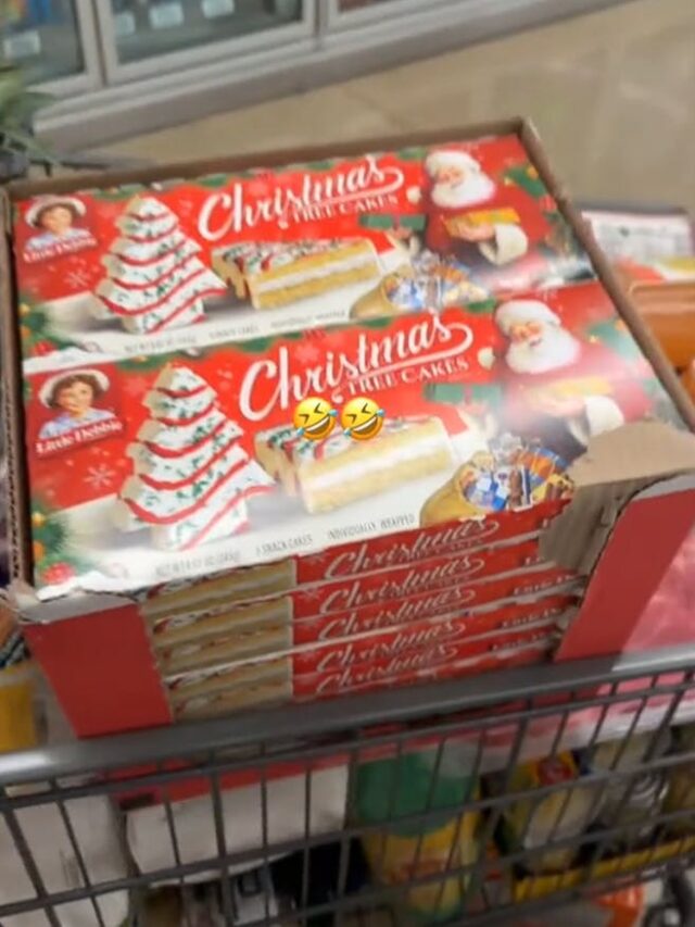 Aldi Shopper Finds 49Cent Little Debbie Christmas Tree Cakes