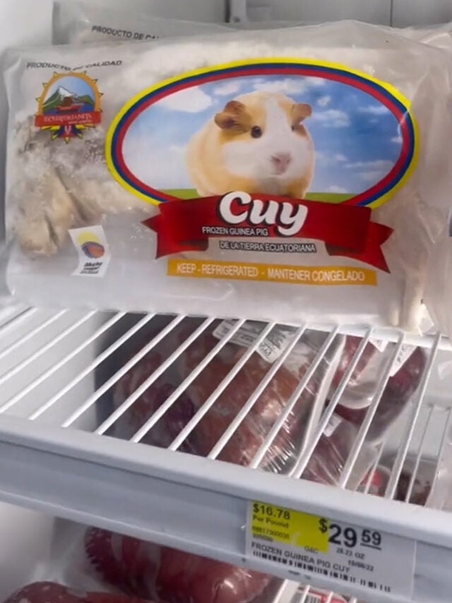 Grocery Shopper Finds Frozen Guinea Pigs for Sale in Frozen Aisle