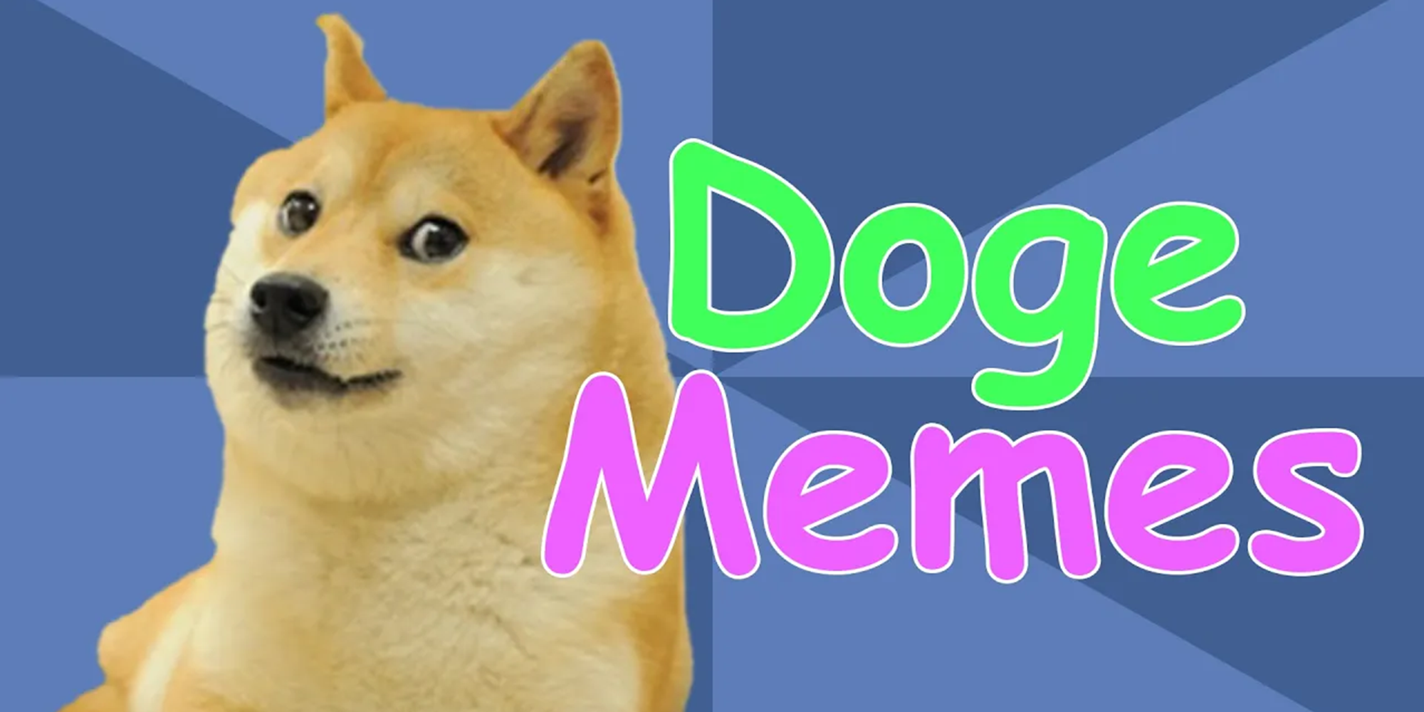 Doge Memes: A Complete History Of Shiba Inu-Inspired Memes