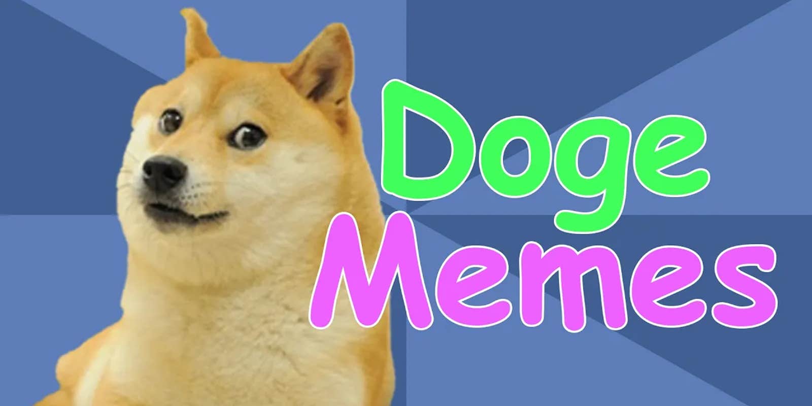 Doge Memes A Complete History Of Shiba Inu Inspired Memes Doge memes a complete history of shiba inu inspired memes