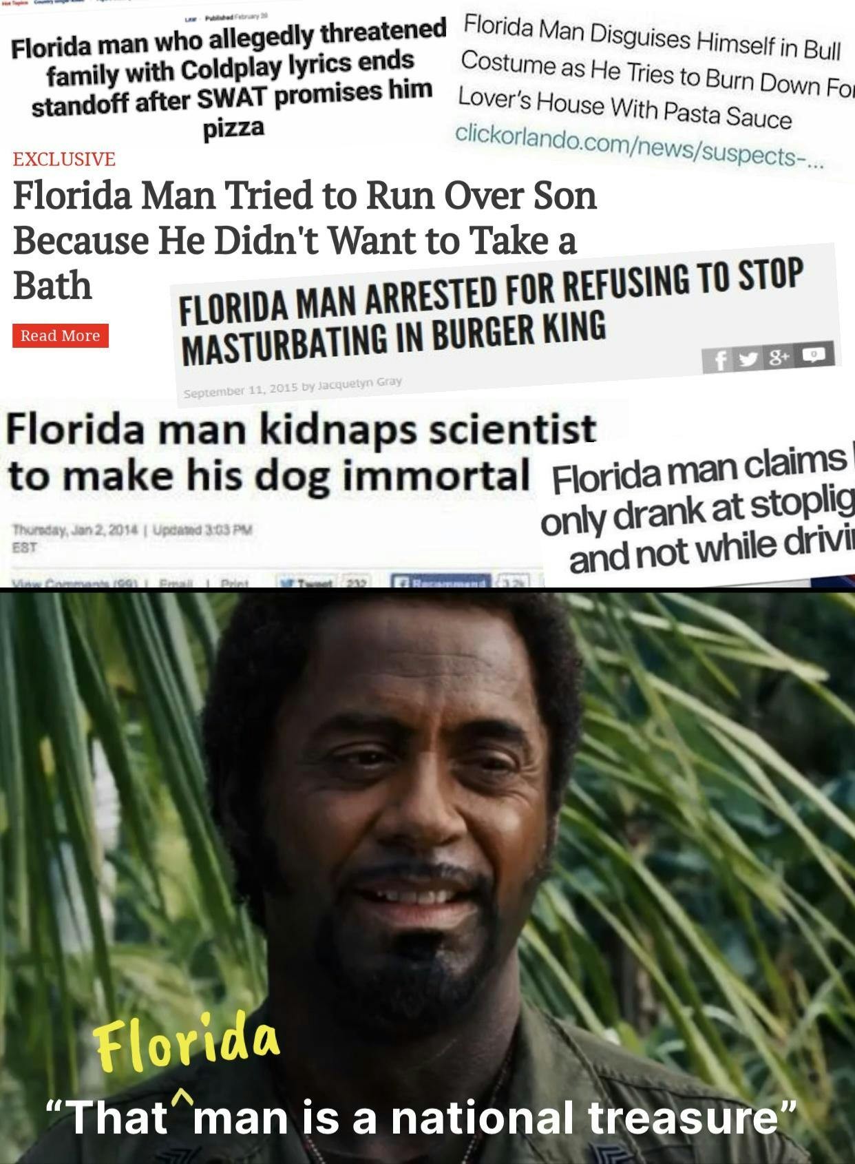 Florida Man meme featuring Robert Downey Jr.