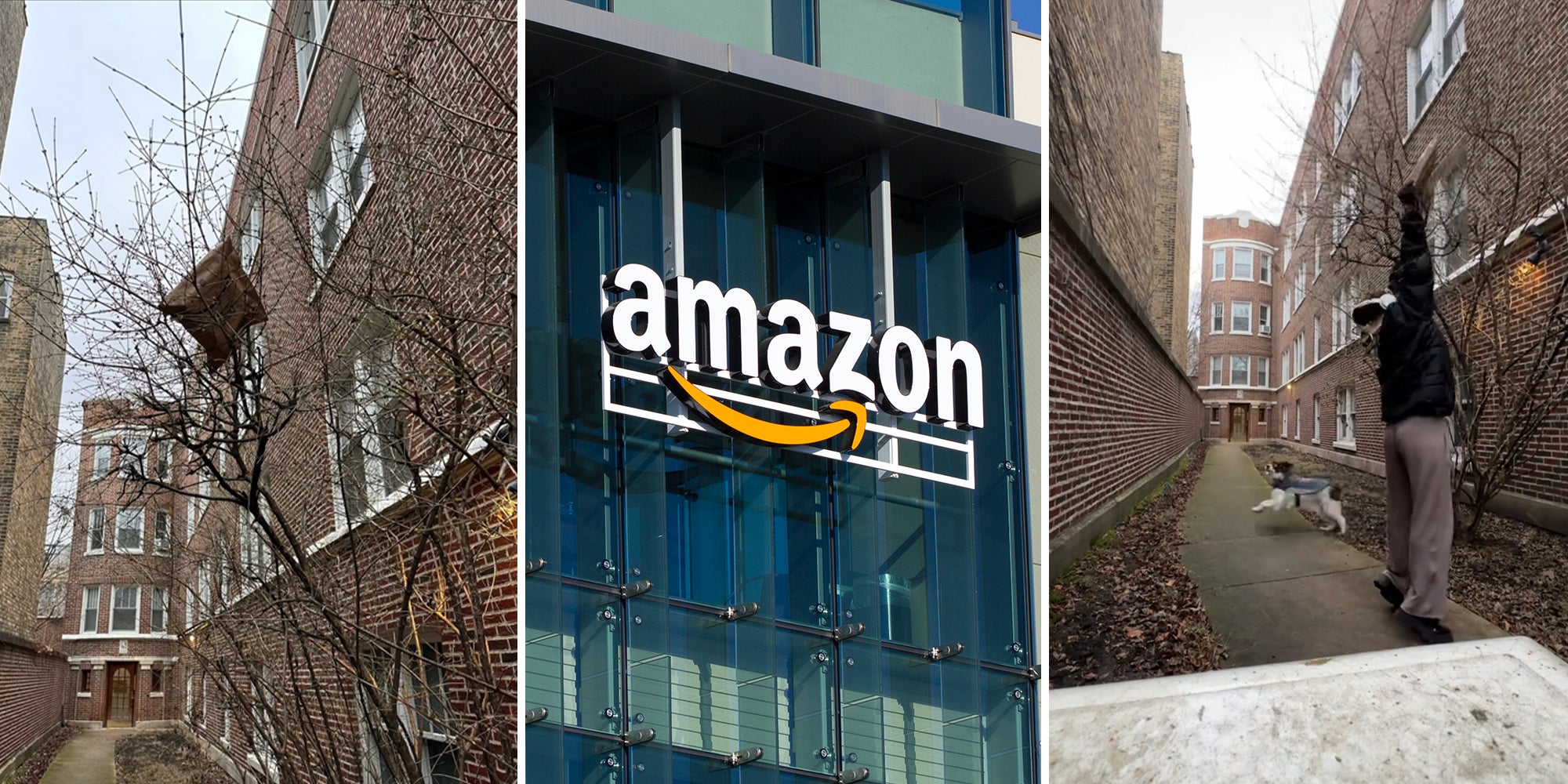 Amazon Driver Places Customer's Package in a Tree