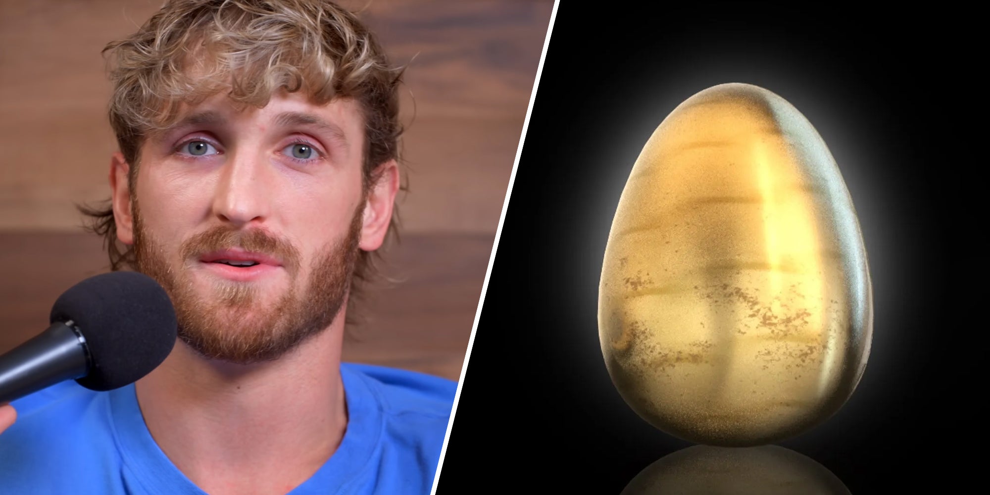 Logan Paul says he’ll pay back Cryptozoo investors - over a year after he first said he would