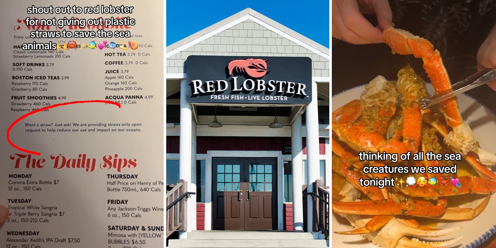 Red Lobster customers claim restaurant is hypocrite for ocean-saving straw program