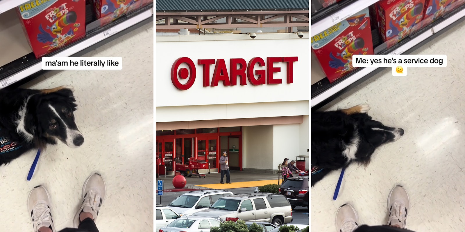 Shopper questioned for having her service dog in Target because store sells food
