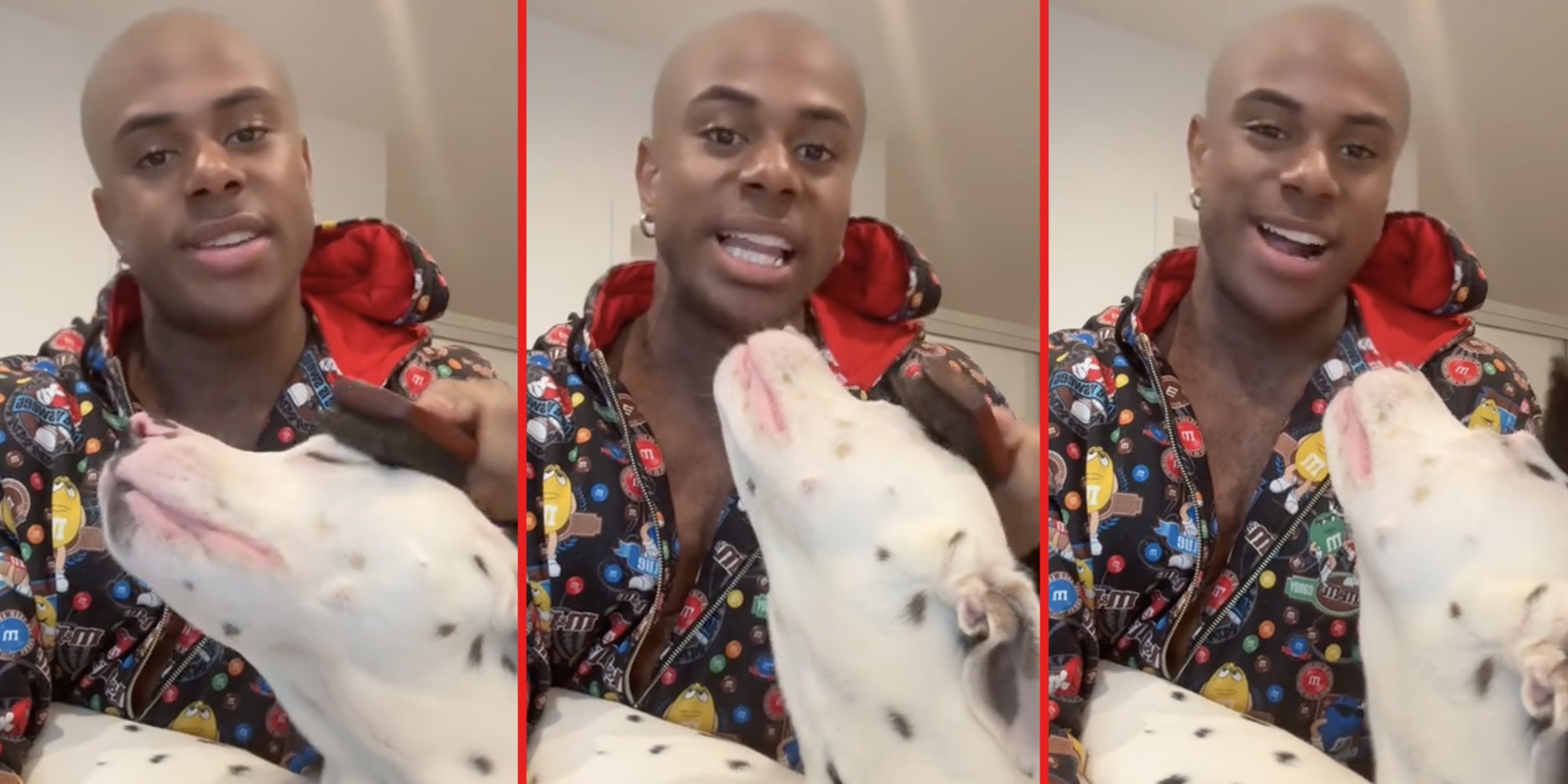 Man brushing dogs hair(three panel split)