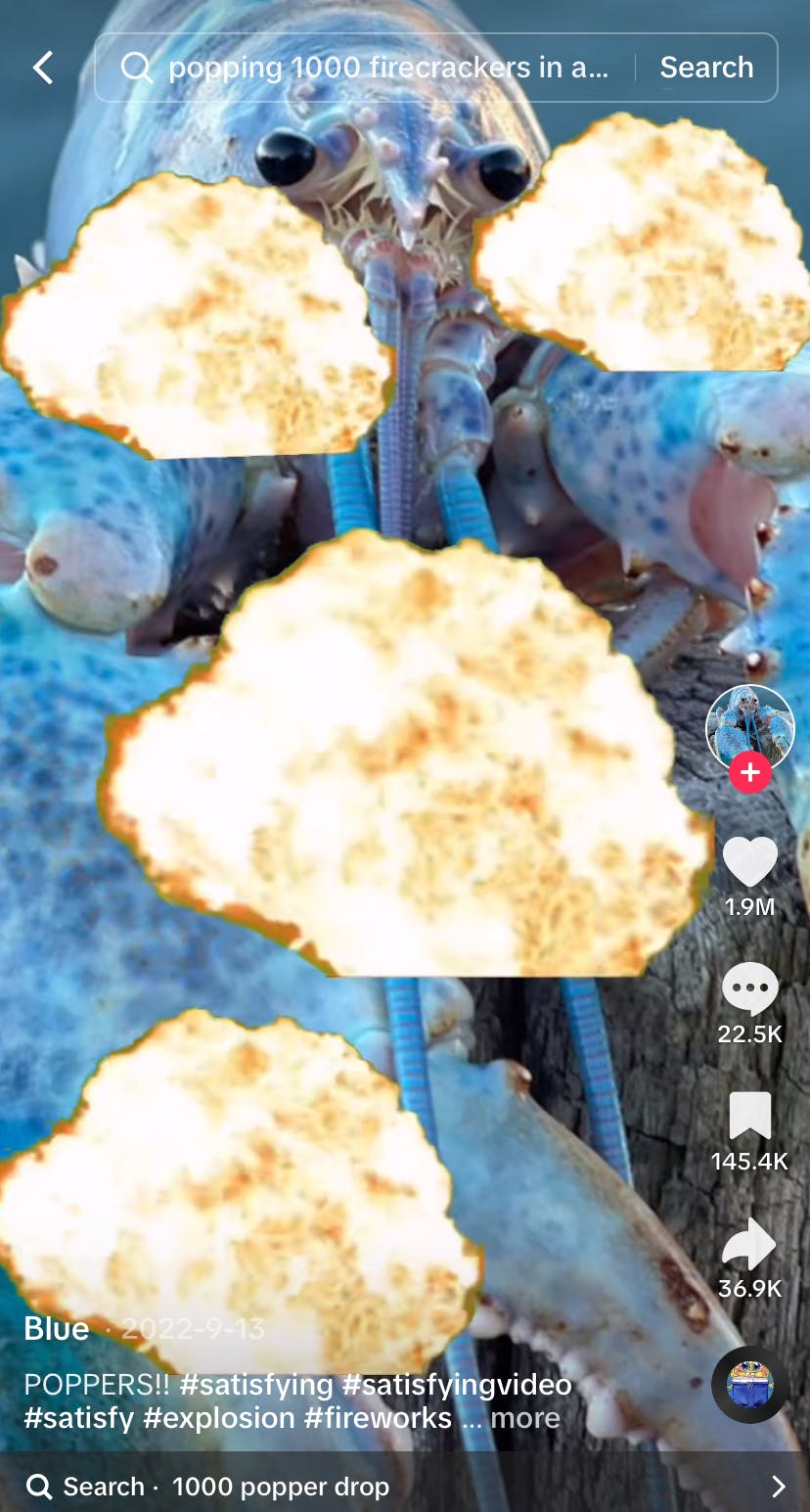 blue lobster TikTok