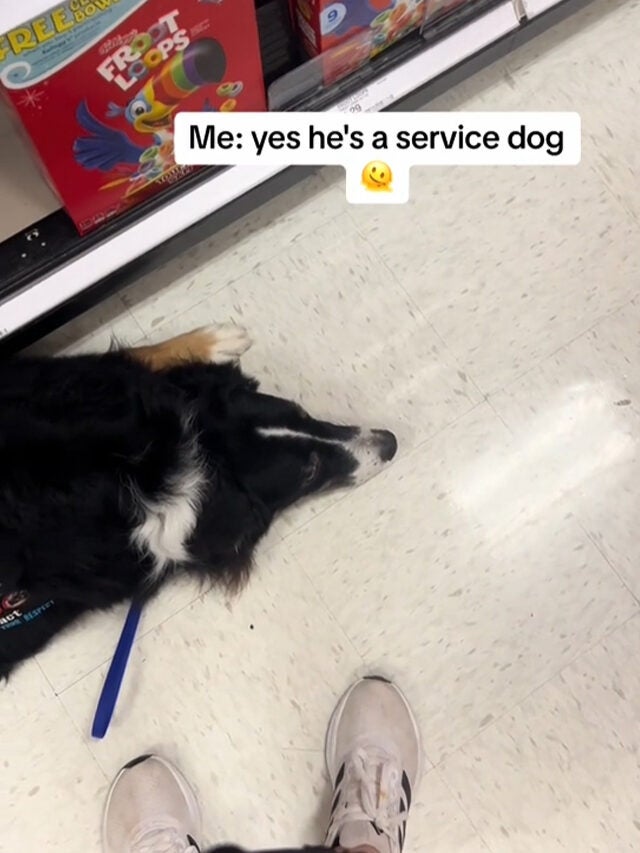 Shopper Questioned for Having Her Service Dog in Target