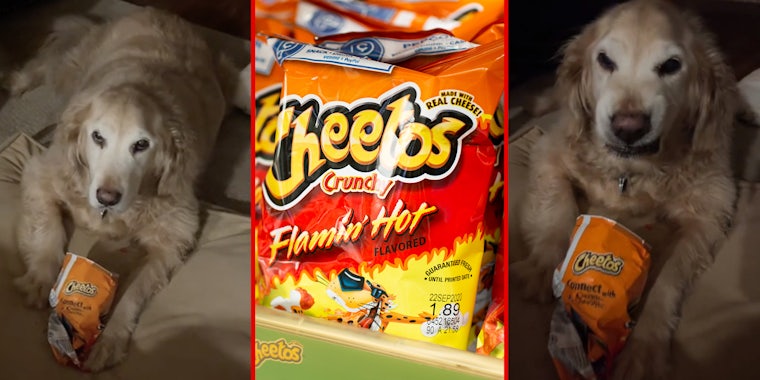 Dog with cheetos(l+r), Flaming Hot Cheetos bag(c)
