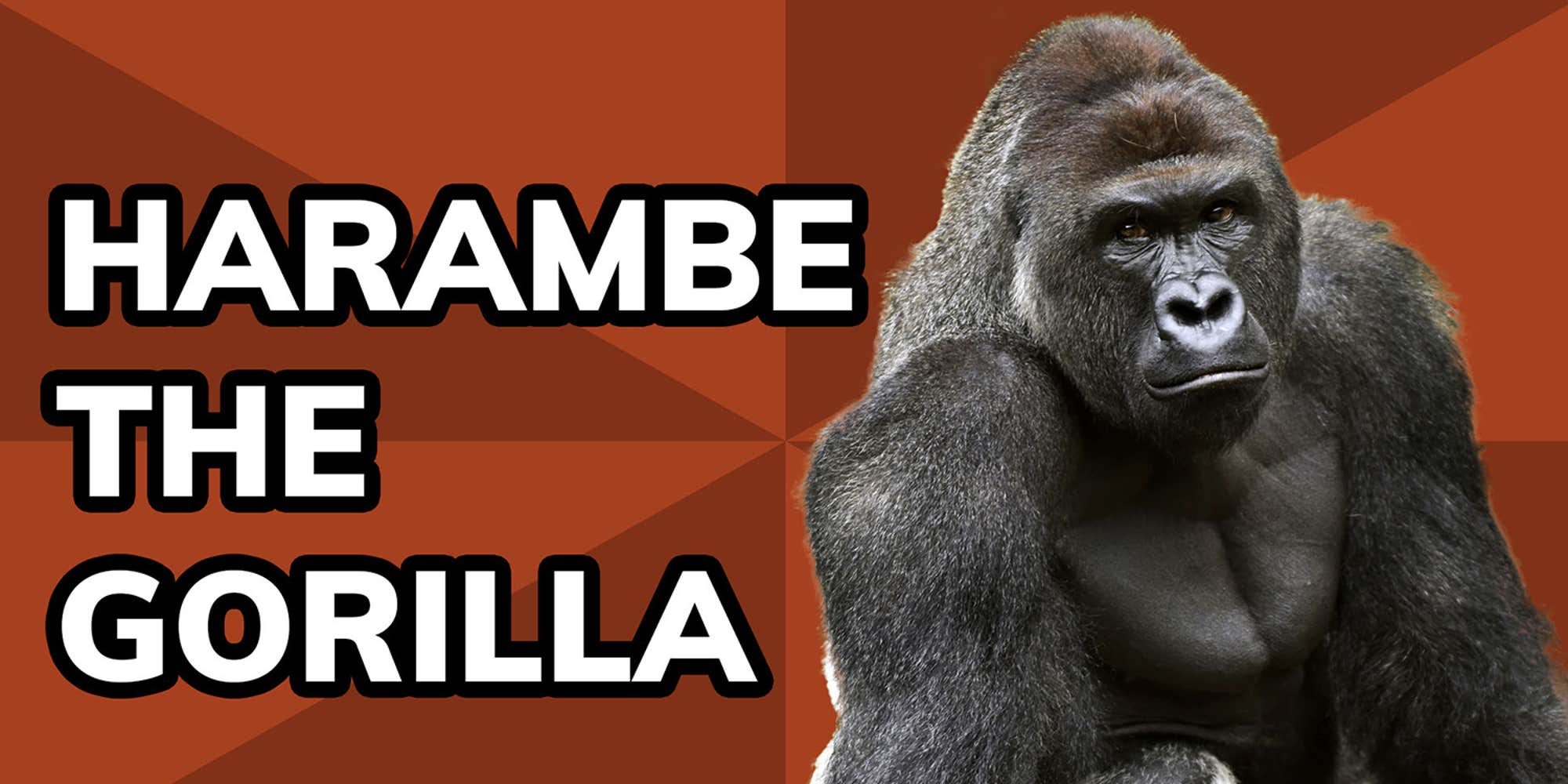 Harambe Rizz Harambe Meme: The History And Memes Of Harambe The Gorilla