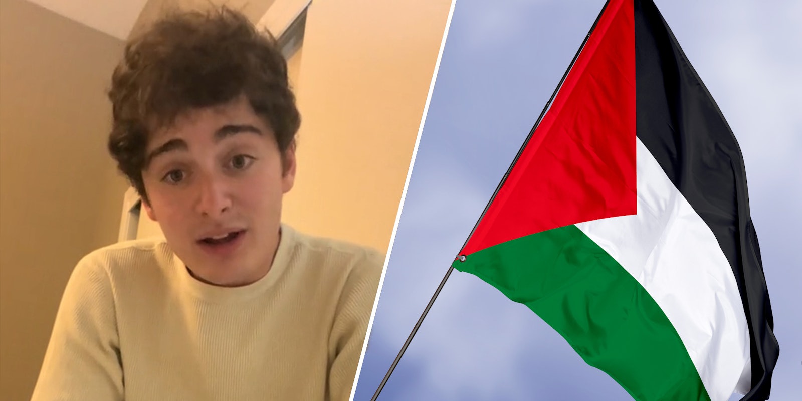 Noah Schnapp speaking (l) Palestine flag with sky (r)