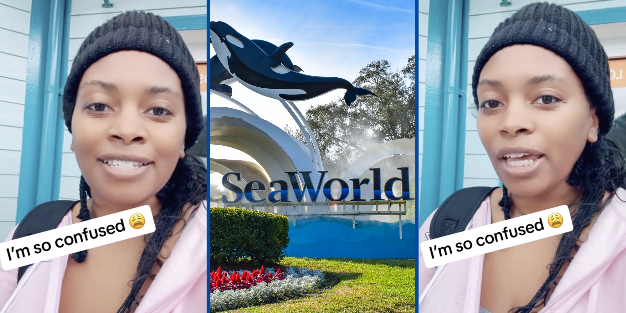 Woman talking(l+r), SeaWorld sign(c)