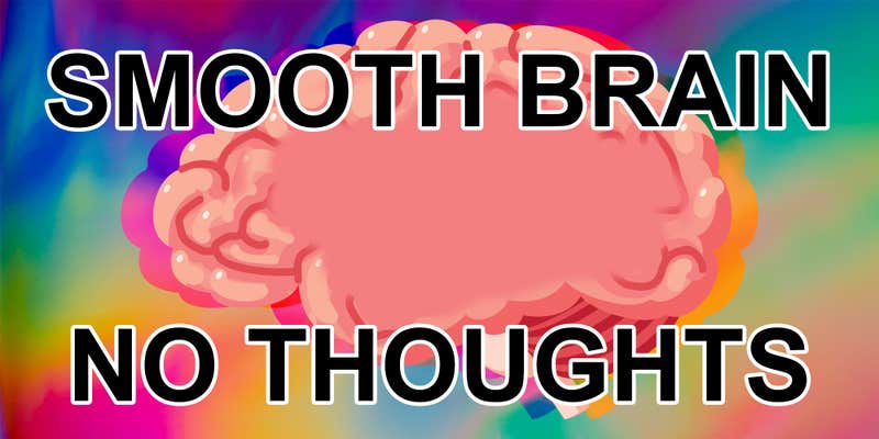 Smooth Brain Meme: The Origins and Usage Online
