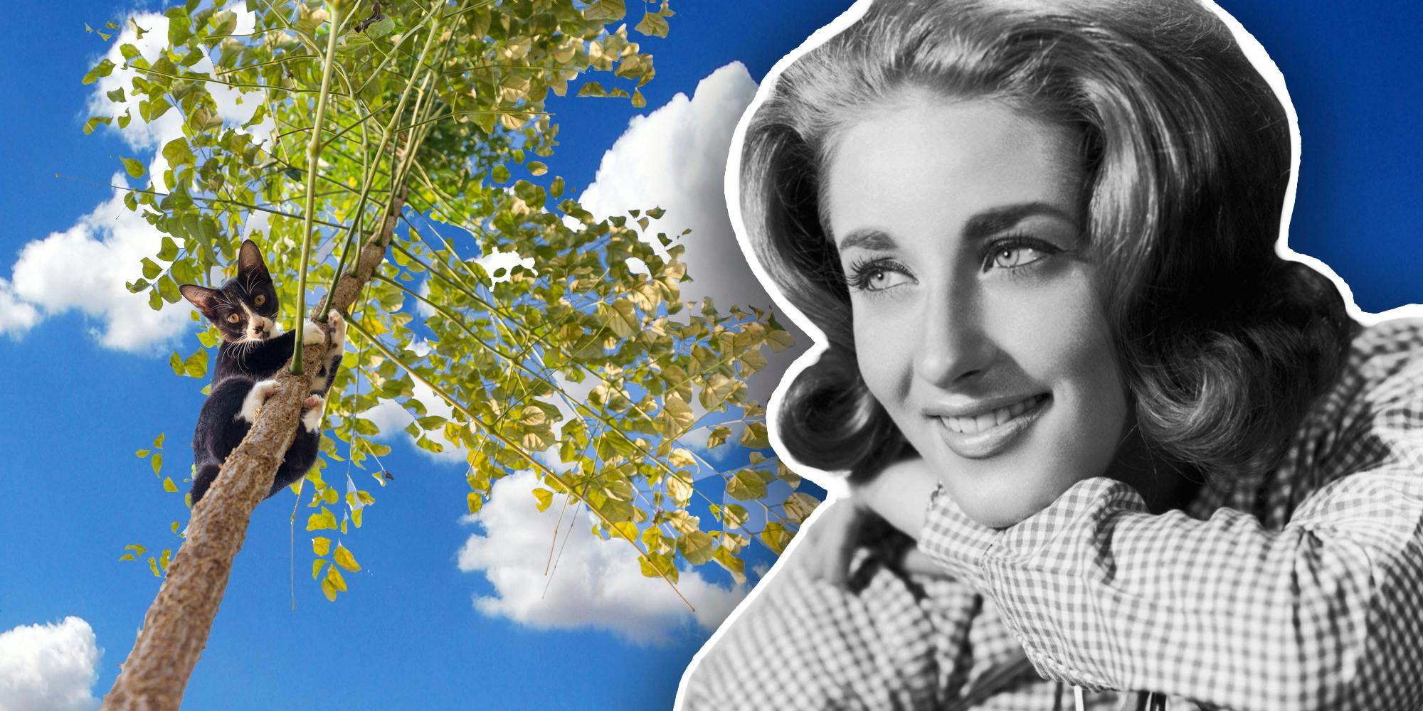 Lesley Gore with cat in a tree and clouds in the background
