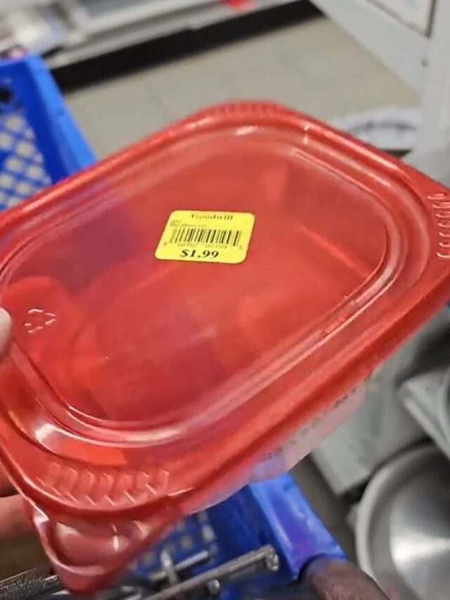 Shopper Catches Goodwill Reselling Plastic Lunch Meat Container
