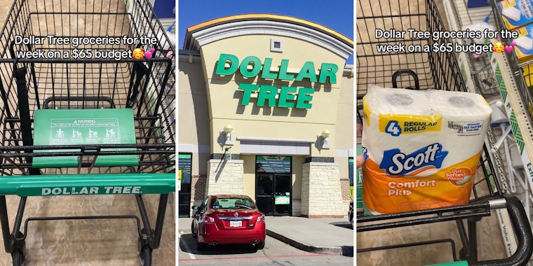 Shopper makes full grocery run at Dollar Tree for $65