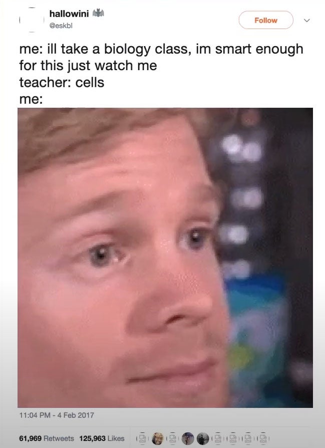 Blinking Guy Meme Meme History Blinking Guy Meme Meme History