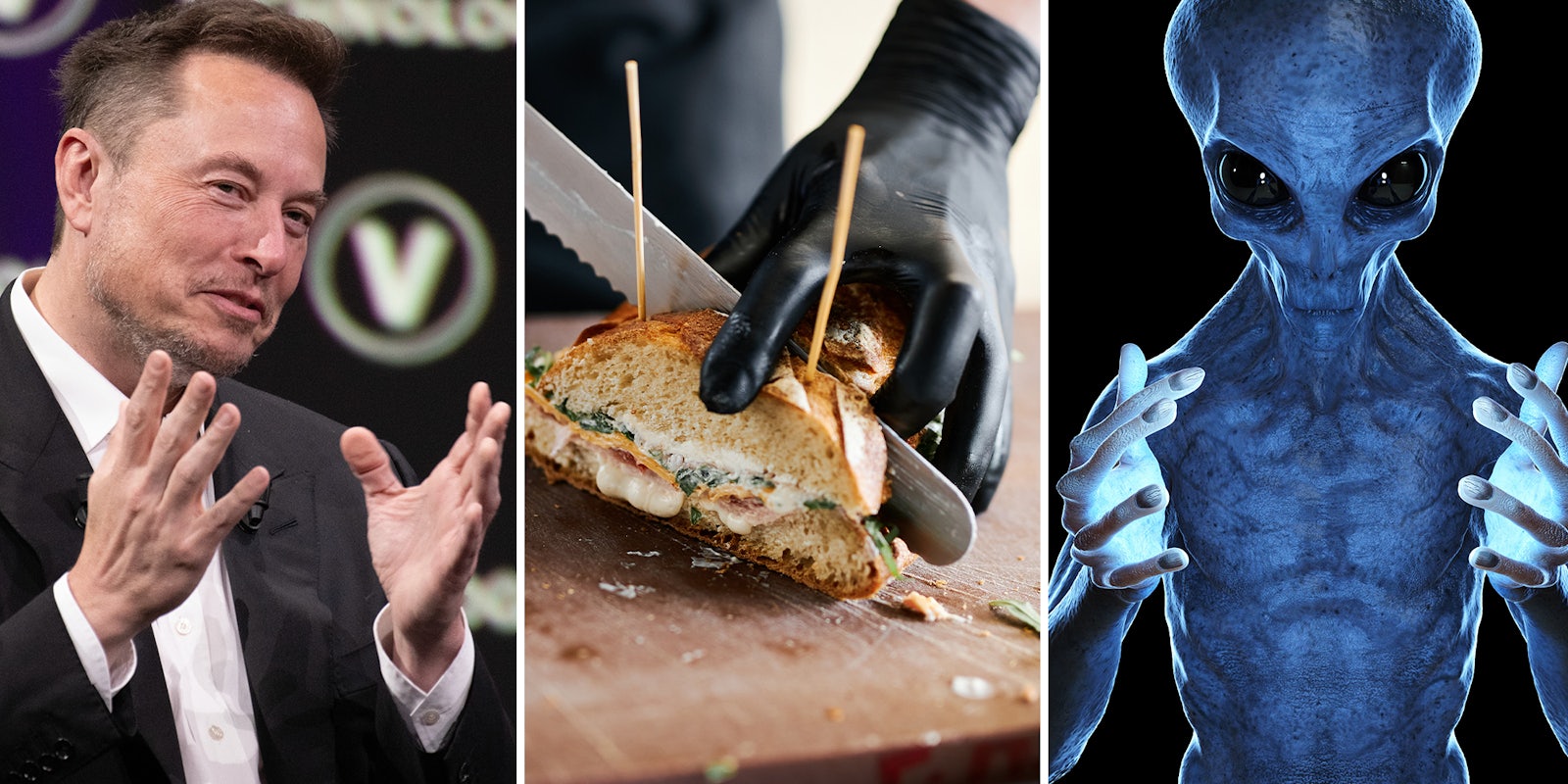 Elon Musk, Person wearing black gloves cutting sandwich. Blue alien with black eyes holding up hands