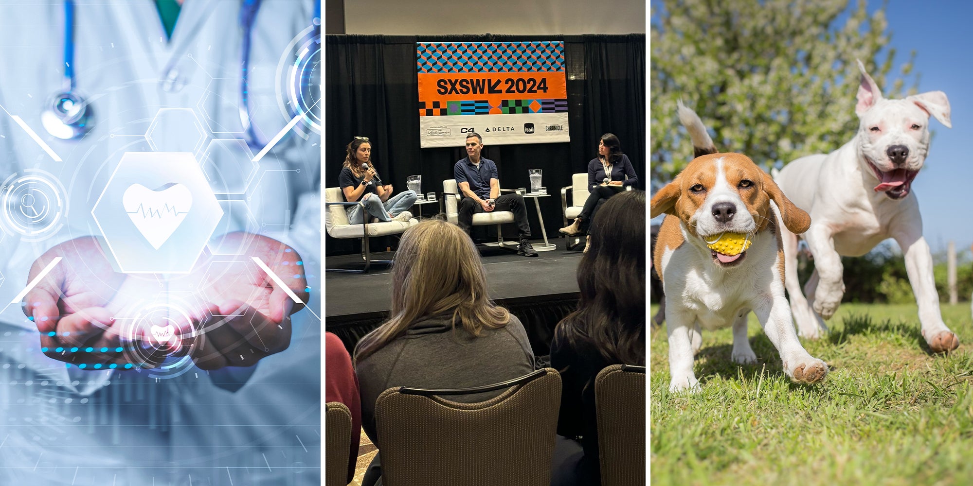Doctor futuristic modern technology concept diagnosing analyzing patient’s health medical, SXSW Panel, Dogs running together
