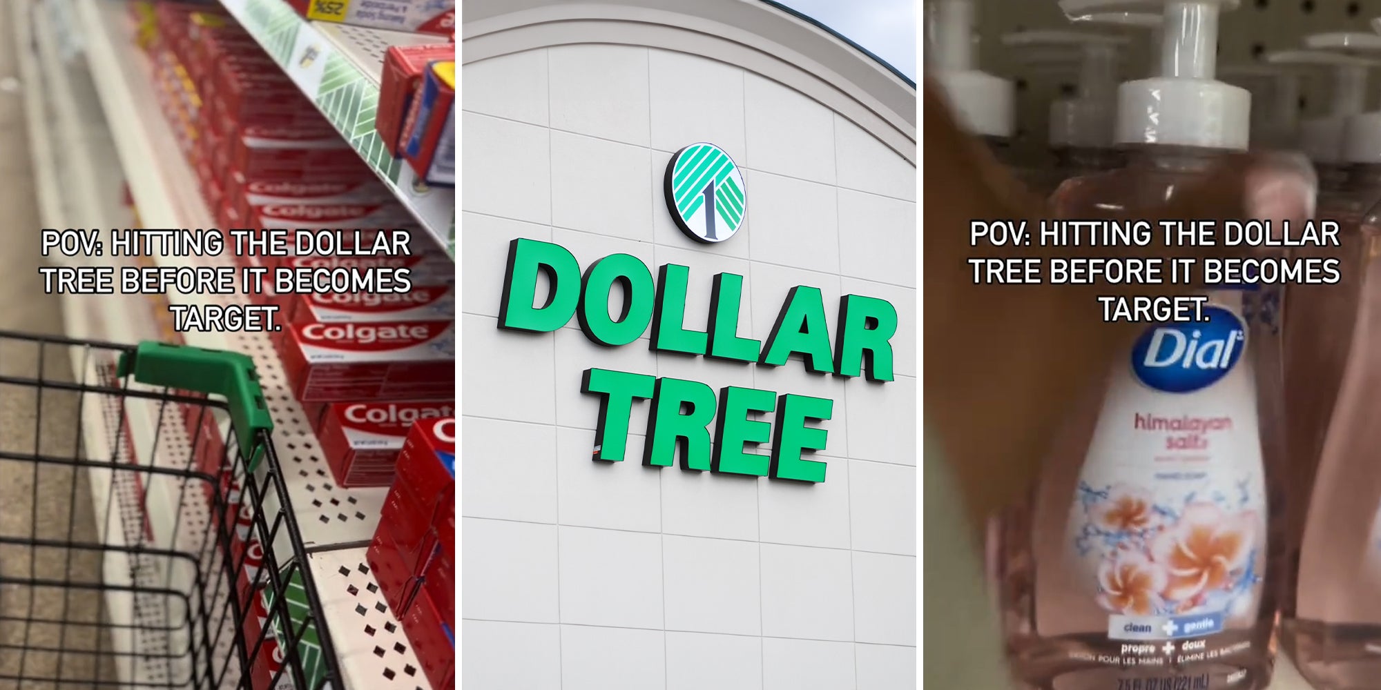 Dollar Tree Shopper Raids Store Before Prices Increase Up to 7