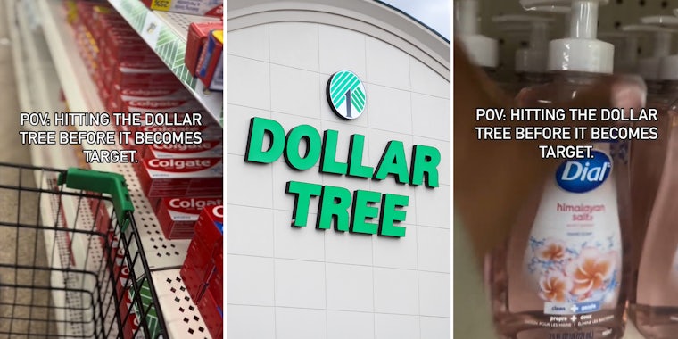 Dollar Tree shopper raids store before prices increase up to $7