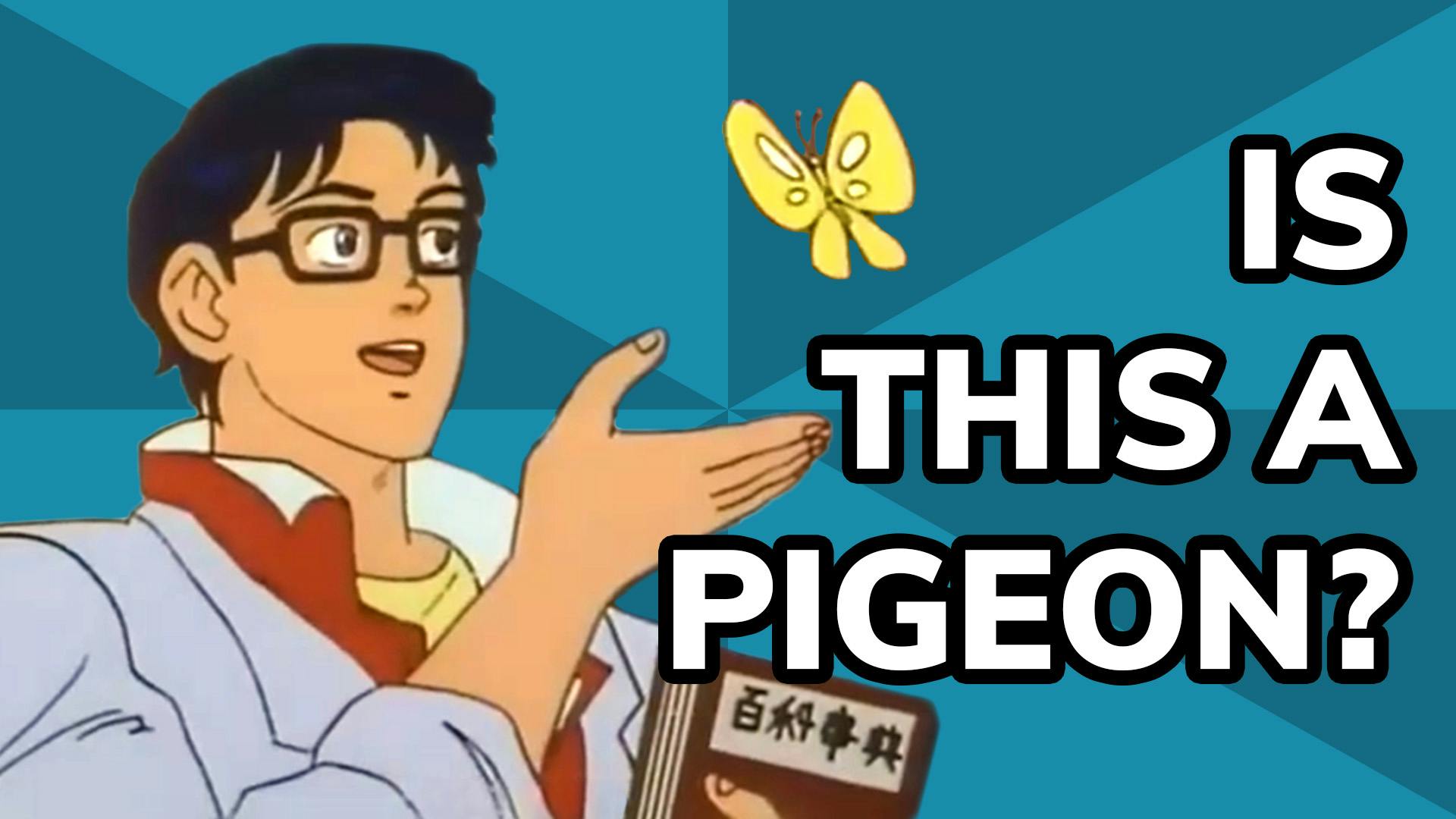 Is This A Pigeon?
