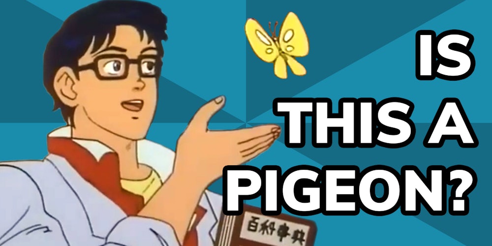 Is This A Pigeon?