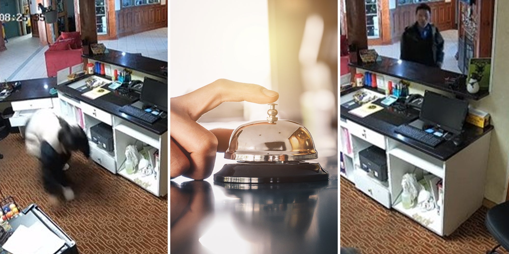 Hotel worker dives under desk to hide from guests