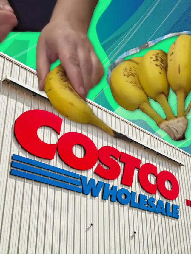 Costco customer says the bananas are ‘fake’