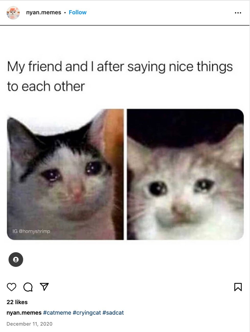 crying cat meme