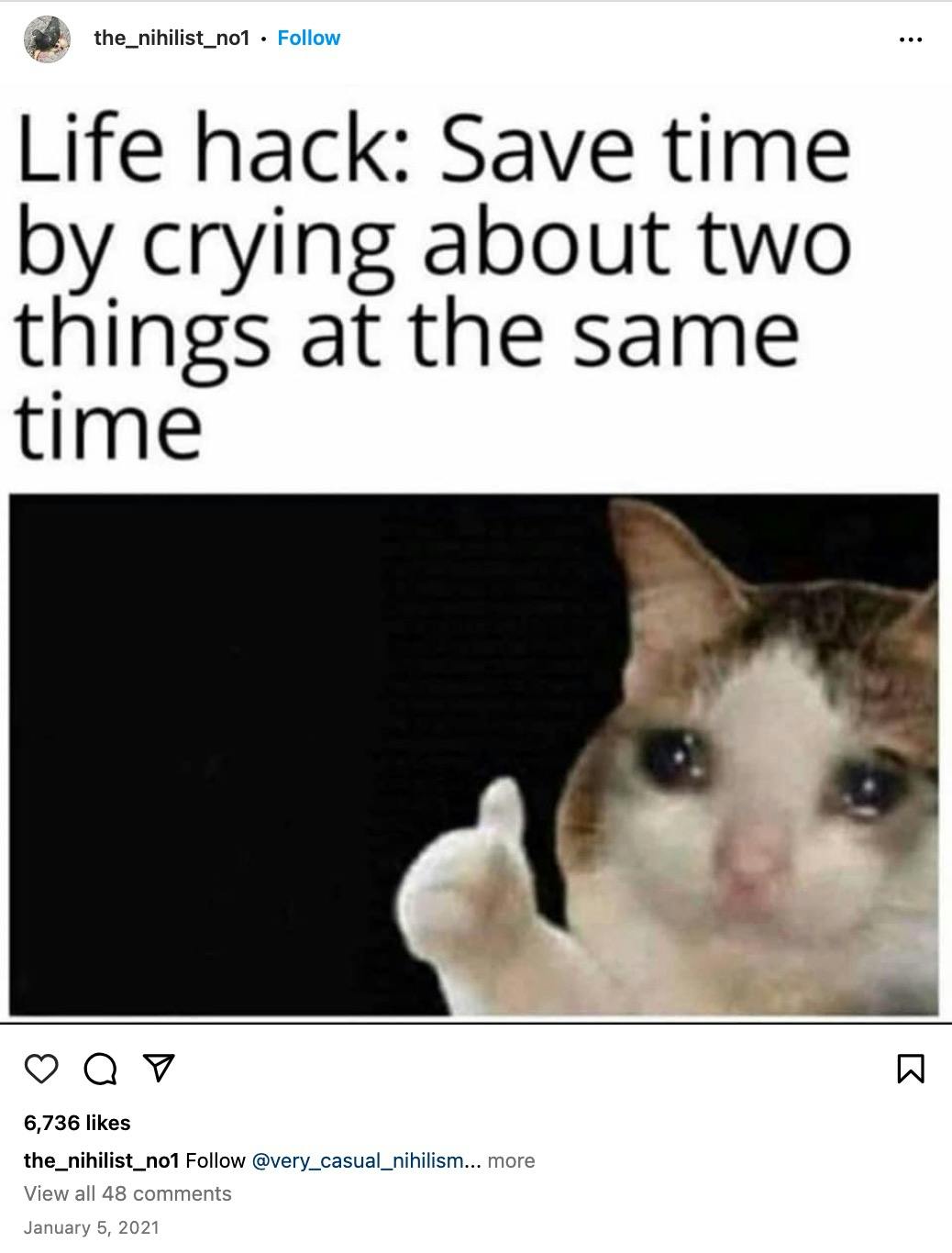 crying cat meme